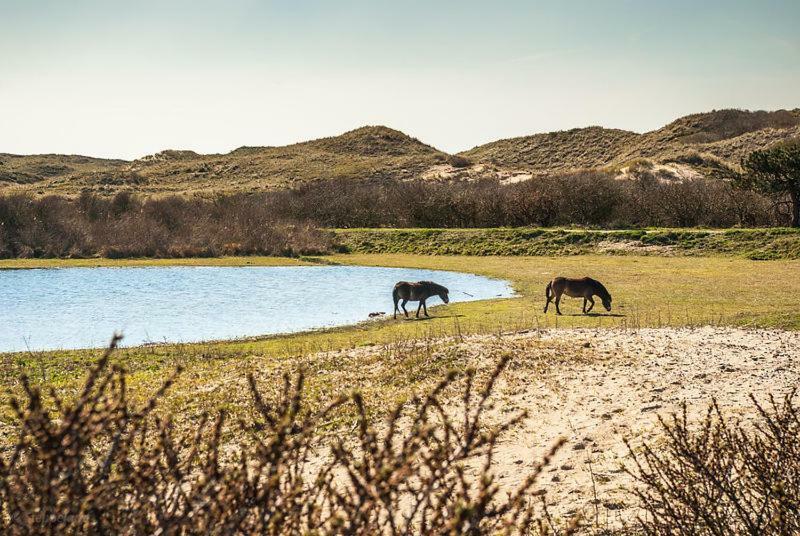 Het Hoekhuisje Egmond aan Zee Exterior foto